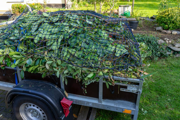 Best Furniture Removal  in La Grange, IL
